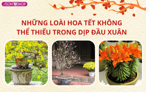 Top 15 loại hoa Tết đẹp không thể thiếu trong ngày Tết image 1