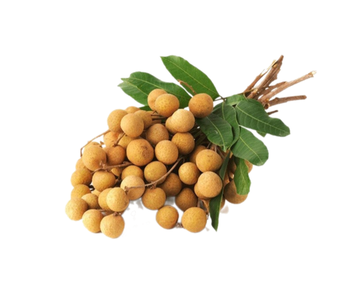 Nhãn Xuồng Loại 1 1kg AVN ảnh 0