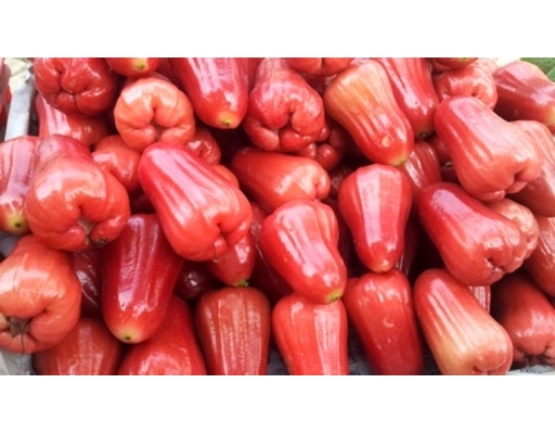 Mận Đỏ An Phước 1kg AVN ảnh 2