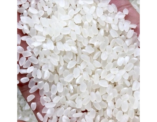 Gạo Nhật 5kg Fuji Sakura ảnh 1