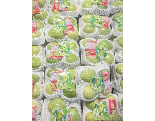 Ổi Giống Đài Loan 1kg AVN ảnh 3