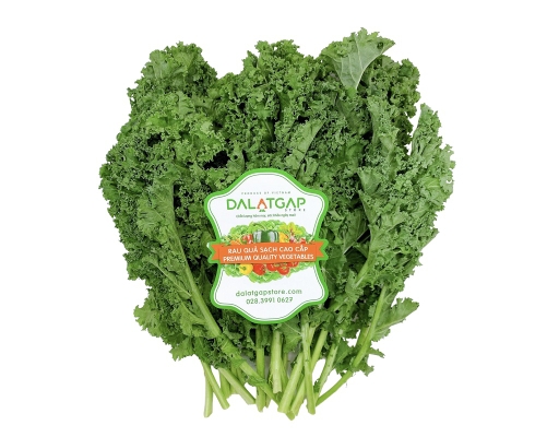 Xà Lách Kale 200g Dalatgap ảnh 0