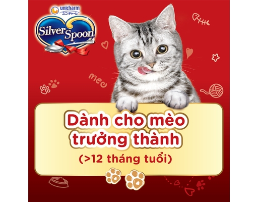 Thức Ăn Dạng Hạt Cho Mèo Giảm Nôn Trớ Tiêu Hóa Tối Ưu Vị Cá Ngừ 800g Silver Spoon ảnh 1