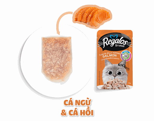 Thức Ăn Cho Mèo Vị Cá Ngừ Cá Hồi 70g Regalos ảnh 2