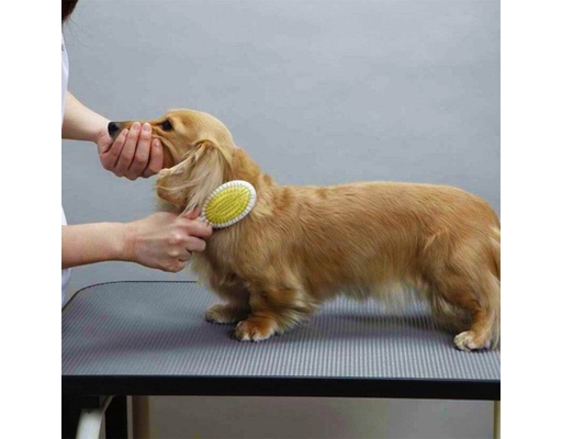 Bàn Chải Tròn 2 Mặt Size S Doggyman ảnh 2