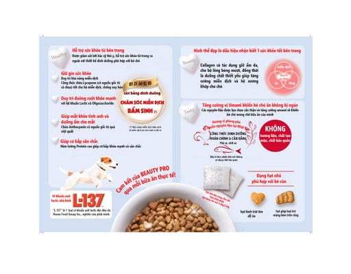 Thức Ăn Hạt Cho Chó Cho Chó Chăm Sóc Hệ Tiêu Hóa 2.3kg Beauty Pro Dog ảnh 1