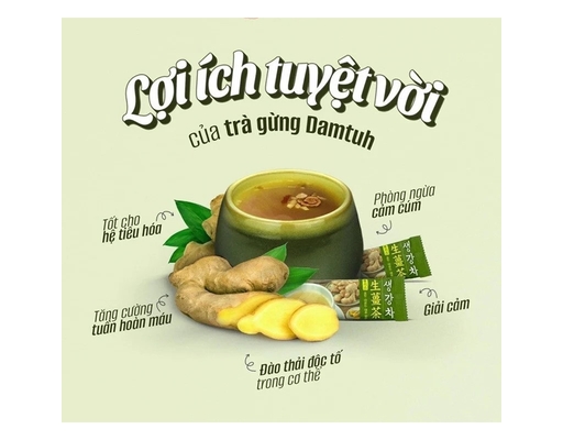 Bột Trà Gừng Hỗn Hợp 225g Damtuh ảnh 1