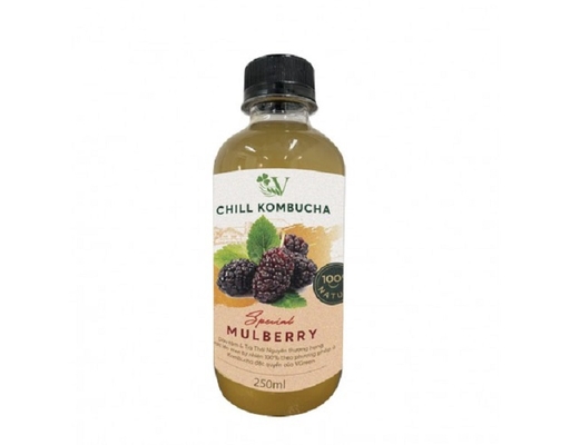 Trà Vkombucha Vị Dâu Tằm 250ml Vgreen ảnh 0