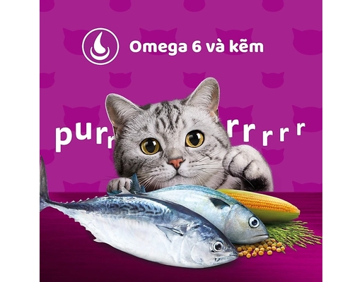 Thức Ăn Dạng Hạt Cho Mèo Con Vị Cá Biển Và Sữa Junior Ocean Fish Milk 1.1kg Whiskas ảnh 2