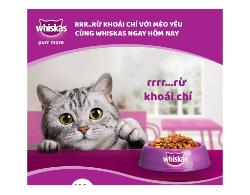 Thức Ăn Dạng Hạt Cho Mèo Con Vị Cá Biển Và Sữa Junior Ocean Fish Milk 1.1kg Whiskas ảnh 3