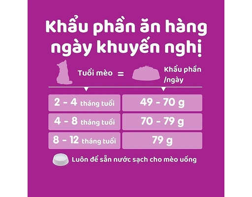 Thức Ăn Dạng Hạt Cho Mèo Con Vị Cá Biển Và Sữa Junior Ocean Fish Milk 1.1kg Whiskas ảnh 6