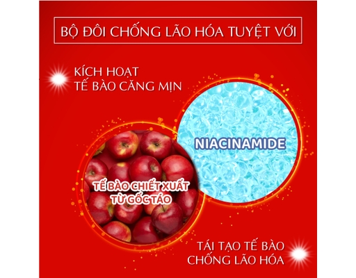 Tinh Chất Dưỡng Ẩm Chuyên Sâu Harinista Delivery Essence 30ml Meishoku ảnh 3