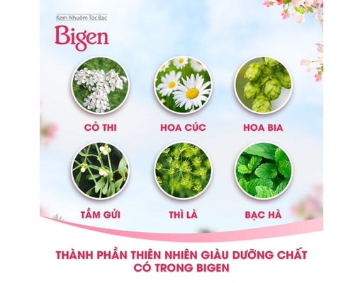 Kem Nhuộm Tóc Speedy Màu Nâu Sẫm 883 80ml Bigen ảnh 4