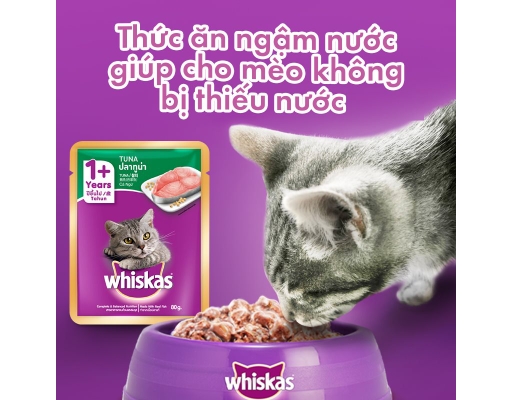 Thức Ăn Cho Mèo Lớn Vị Cá Ngừ 80g Whiskas ảnh 4