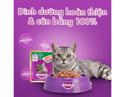 Thức Ăn Cho Mèo Lớn Vị Cá Ngừ 80g Whiskas ảnh 5