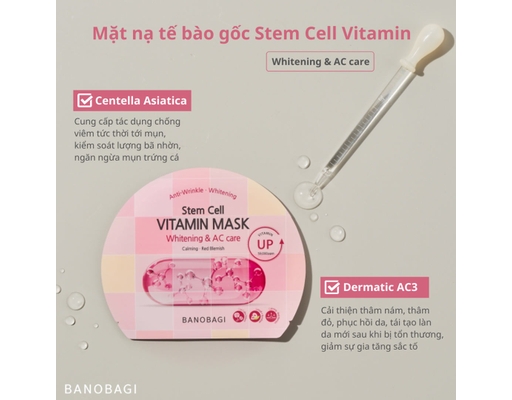 Mặt Nạ Dưỡng Sáng Và Chăm Sóc Da Mụn Stem Cell Vit Mask White & AC Care 30g Banobagi ảnh 1