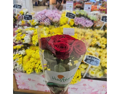 Bó Hoa Hồng Dalat Hasfarm ảnh 2