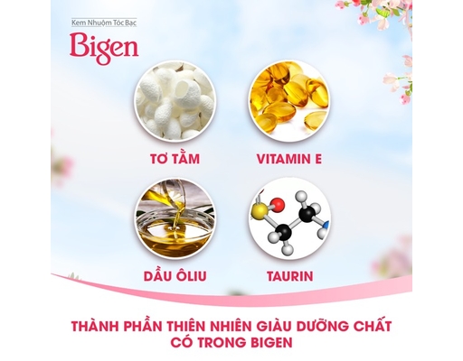 Kem Nhuộm Tóc Silk TouchMàu: Màu 3N - Nâu Đen Bigen ảnh 3