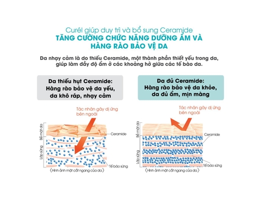 Tinh Chất Chống Nắng Mặt Và Toàn Thân Cho Da Khô, Nhạy Cảm UV Protection Essence SPF 30 PA++ 50g Curél ảnh 4