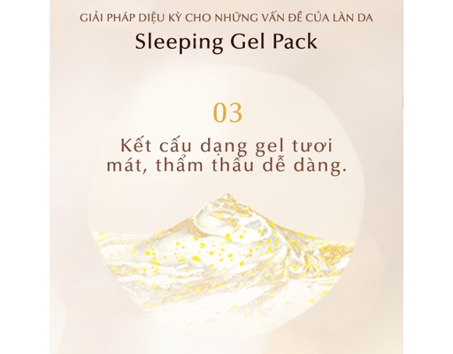 Mặt Nạ Ngủ Phục Hồi Độ Ẩm Và Ngăn Ngừa Lão Hóa Da Sleeping Gel Pack 105g Elixir ảnh 4