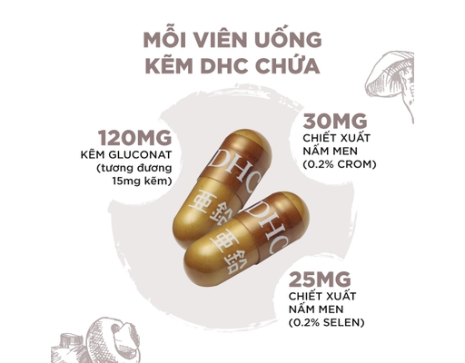 Thực Phẩm Bảo Vệ Sức Khỏe Viên Uống Zinc Bổ Sung Kẽm 30 Ngày 30 Viên DHC ảnh 2