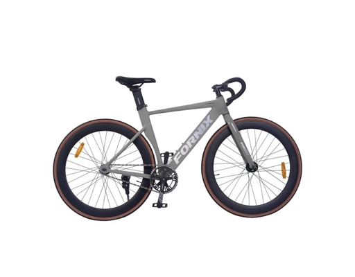 Xe Đạp Fixed Gear BF100 Bánh 700C Màu Xám Fornix ảnh 0