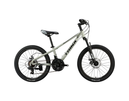 Xe Đạp Trẻ Em 20 Inch GT20 Trinx ảnh 3