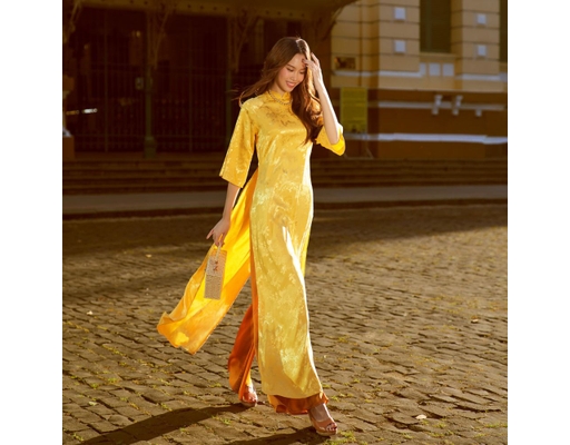Áo Dài Gấm Vàng AD44-V F2 Fashion & Freedom ảnh 0