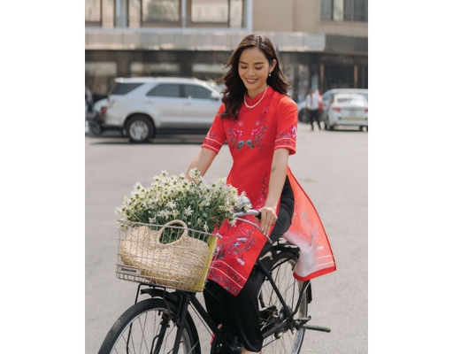 Áo Dài Gấm Đỏ AD14-DLK F2 Fashion & Freedom ảnh 1