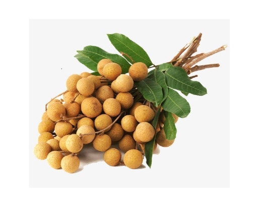 Nhãn Xuồng Loại 1 1kg AVN ảnh 4