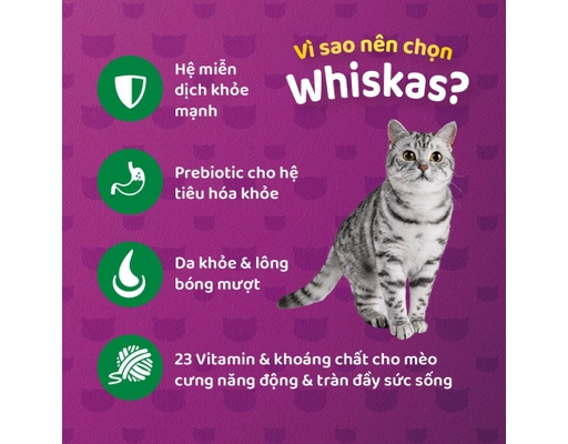 Thức Ăn Dạng Hạt Dành Cho Mèo Trưởng Thành Vị Saba Nướng 1.2kg Whiskas ảnh 1
