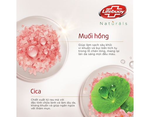 Sữa Tắm Detox Rau Má Muối Hồng 800g Lifebuoy ảnh 4