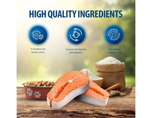 Thức Ăn Cho Mèo Trưởng Thành Vị Cá Hồi 1.5kg Reflex Plus ảnh 1