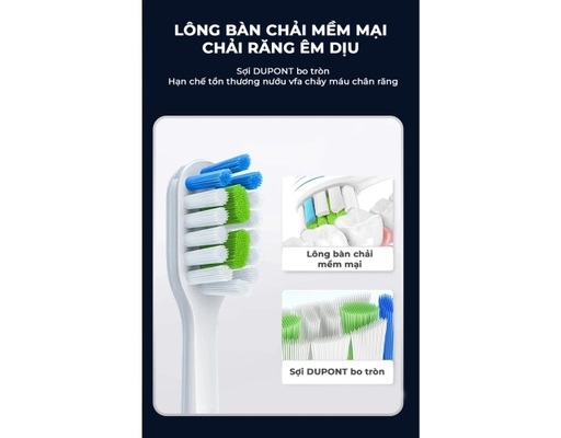 Bàn Chải Điện ECO PRO-50 Màu Xanh Magic ảnh 8