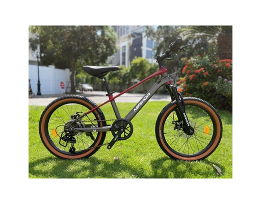 Xe Đạp Trẻ Em Thunder 20 Inch (Note chọn màu) Miamor ảnh 0