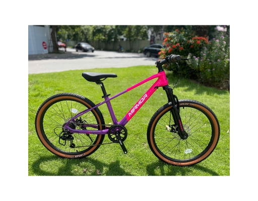 Xe Đạp Trẻ Em Thunder 20 Inch (Note chọn màu) Miamor ảnh 1