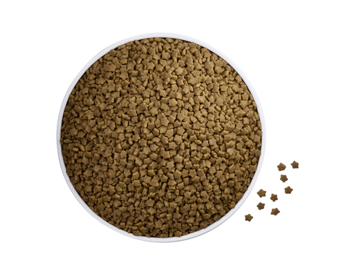 Thức Ăn Ngừa Búi Lông Cho Mèo Ba Tư Persian Anti Hairball 1.1kg Me-O ảnh 2