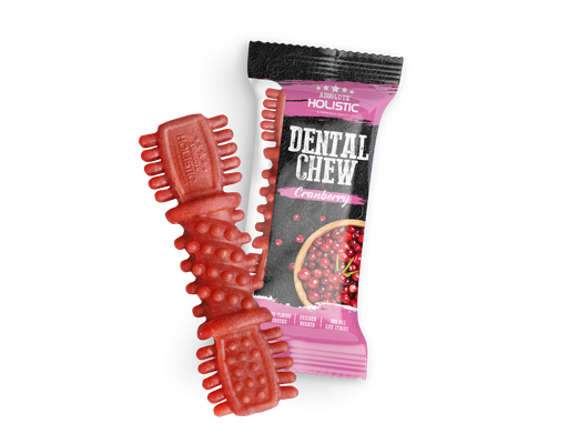 Gặm Sạch Thơm Miệng Cho Chó Dentaw Chew Vị Nam Việt Quất - 1 Thanh 25g Absolute Holistic ảnh 1