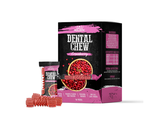 Gặm Sạch Thơm Miệng Cho Chó Dentaw Chew Vị Nam Việt Quất - 1 Thanh 25g Absolute Holistic ảnh 2