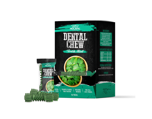Gặm Sạch Thơm Miệng Cho Chó Dentaw Chew Vị Bạc Hà - 1 Thanh 25g Absolute Holistic ảnh 2