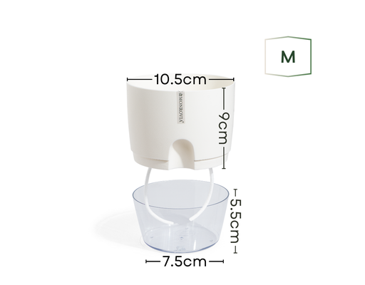 Chậu Tự Tưới Trong Suốt A705 Size M Monrovia ảnh 1