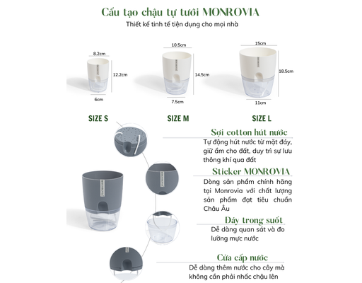 Chậu Tự Tưới Trong Suốt A705 Size M Monrovia ảnh 6