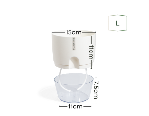Chậu Tự Tưới Trong Suốt A707 Size L Monrovia ảnh 1