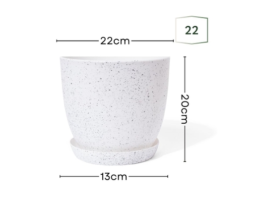 Chậu Trắng Vân Đá Size 22cm Monrovia ảnh 1