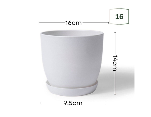 Chậu Trắng Size 16cm Monrovia ảnh 1