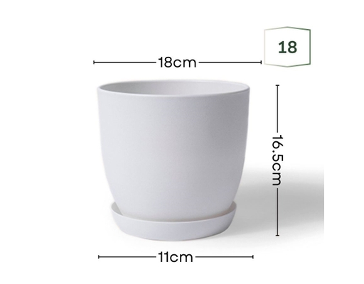 Chậu Trắng Size 18cm Monrovia ảnh 1