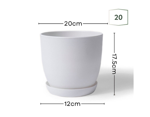 Chậu Trắng Size 20cm Monrovia ảnh 1