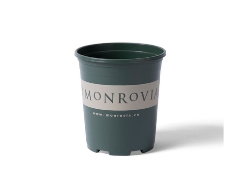 Chậu Trồng Cây 0.5 Gallon Monrovia ảnh 0