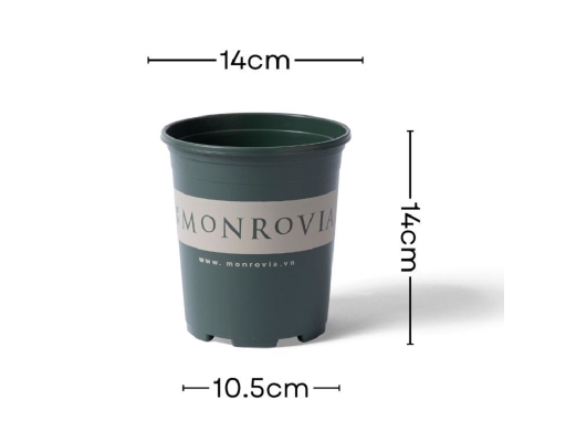 Chậu Trồng Cây 0.5 Gallon Monrovia ảnh 1