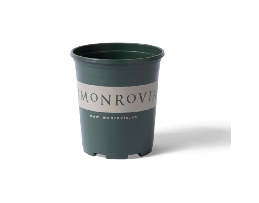 Chậu Trồng Cây 1 Gallon Monrovia ảnh 0